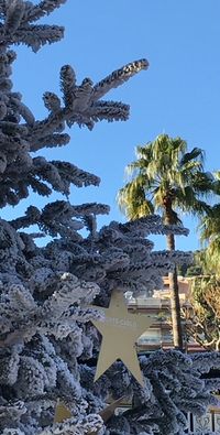 Kerstmarkt in Monaco